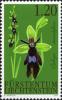 Colnect-703-537-Fly-Orchid-Orphrys-insectifera.jpg