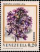 Colnect-2687-009-Epidendrum-secundum.jpg