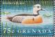 Colnect-4569-533-Steller-s-Eider----Polysticta-stelleri.jpg