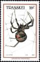 Colnect-5966-049-Black-Widow-Spider-Latrodectus-indistinctus.jpg