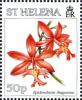 Colnect-4468-886-Epidendrum-ibaguense.jpg