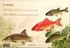Colnect-6436-790-Freshwater-Fish-Species-of-Ukraine-Complete-Booklet-back.jpg