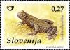 Colnect-718-007-Fire-bellied-Toad-Bombina-bombina.jpg