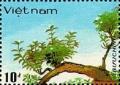 Colnect-1632-880-Vietnamese-bonsai.jpg