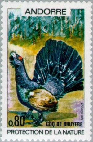 Colnect-141-873-Capercaillie-Cock-Tetrao-urogallus.jpg