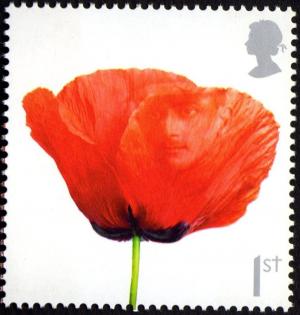 Colnect-2412-441-Soldier-s-Face-in-Poppy.jpg