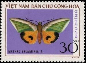 Colnect-5879-866-Green-Fruit-piercing-Moth-Maenas-salaminia.jpg