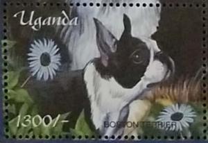 Colnect-6075-907-Boston-Terrier-Canis-lupus-familiaris.jpg