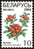 Colnect-1058-271-Red-bilberries---Vaccinium-vitis-idaea.jpg