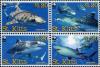 Colnect-1659-409-WWF-Tiger-Shark-block-of-4.jpg
