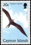 Colnect-1776-861-Magnificent-Frigatebird-Fregata-magnificens.jpg