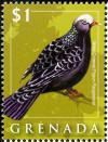 Colnect-2311-312-White-crowned-Pigeon-Patagioenas-leucocephala.jpg