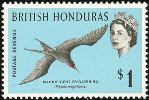 Colnect-1413-934-Magnificent-Frigatebird-Fregata-magnificens.jpg