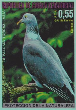 Colnect-1442-839-Wood-Pigeon-Columba-palumbus.jpg