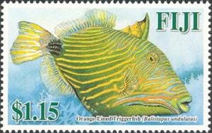 Colnect-1613-751-Orange-lined-Triggerfish-Balistapus-undulatus.jpg