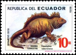 Colnect-5205-870-Galapagos-Land-Iguana-Conolophus-subcristatus.jpg