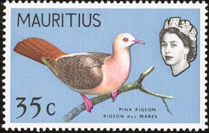 Colnect-734-481-Pink-Pigeon-Nesoenas-mayeri.jpg