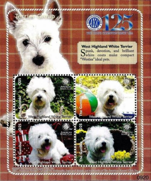 Colnect-6233-607-West-Highland-white-terrier.jpg