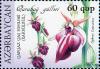 Stamps_of_Azerbaijan%2C_2007-801.jpg