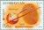 Stamps_of_Azerbaijan%2C_2014-1142.jpg