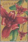 Colnect-1667-387-Maxillaria-variabilis.jpg