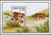 Colnect-4413-877-Psilocybe-coprophila.jpg