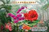 Colnect-5840-437-Dendrobium-Kim-Il-Sung-and-Begonia-Kimjongilia.jpg