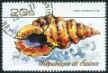 Colnect-4377-796-Sea-Snail-Bursa-scrobicoulator.jpg