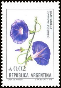 Colnect-4901-633-Campanilla-Ipomoea-purpurea.jpg