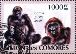 Colnect-4906-419-Gorilla-gorilla-diehli.jpg