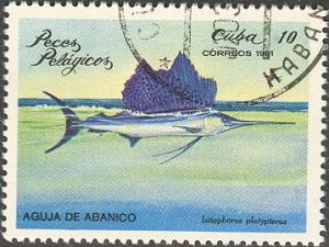 Colnect-666-448-Indo-Pacific-Sailfish-Istiophorus-platypterus.jpg