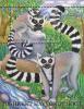 Colnect-855-628-Ring-tailed-Lemur-Lemur-catta.jpg