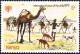 Colnect-2716-157-Children-with-camels.jpg