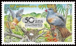 Colnect-3039-825-New-Caledonian-Imperial-pigeon-Ducula-goliath.jpg