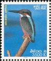Colnect-1614-718-Common-Kingfisher-Alcedo-atthis.jpg