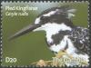 Colnect-1721-811-Pied-Kingfisher-Ceryle-rudis.jpg