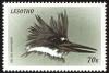 Colnect-1725-594-Belted-Kingfisher-Ceryle-alcyon.jpg