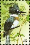 Colnect-1725-633-Belted-Kingfisher-Ceryle-alcyon.jpg