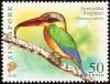 Colnect-2703-706-Stork-billed-Kingfisher-Pelargopsis-capensis.jpg