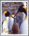 Colnect-4571-639-King-Penguin-Aptenodytes-patagonicus.jpg