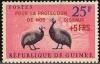 Colnect-540-739-Helmeted-Guineafowl-Numida-meleagris.jpg