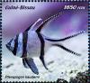 Colnect-5646-327-Banggai-Cardinalfish-Pterapogon-kauderni.jpg