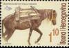 Colnect-565-869-Bosnian-Mountain-Horse-Equus-ferus-caballus.jpg