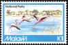 Colnect-864-268-Greater-Flamingo-Phoenicopterus-roseus.jpg