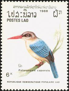 Colnect-1613-077-Stork-billed-Kingfisher-Pelargopsis-capensis.jpg