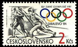 Colnect-3803-336-Cross-Country-Skiing-Olympic-Games-1984---Sarajevo.jpg