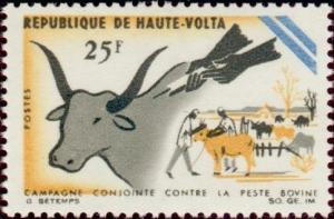 Colnect-509-092-Vaccination-for-cattle.jpg