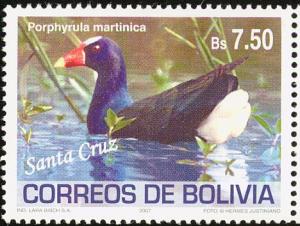 Colnect-5250-713-Purple-Gallinule-Porphyrula-martinica.jpg