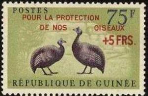 Colnect-540-742-Helmeted-Guineafowl-Numida-meleagris.jpg