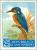 Colnect-170-049-Common-Kingfisher-Alcedo-atthis.jpg